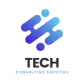 Tech Consulting Services